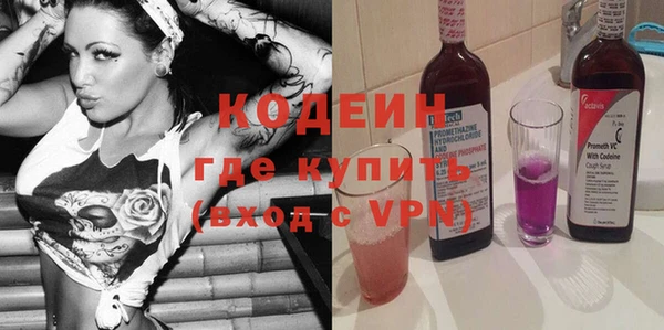 хмурый Каменногорск
